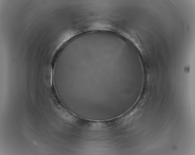 X0000091351219200708171424