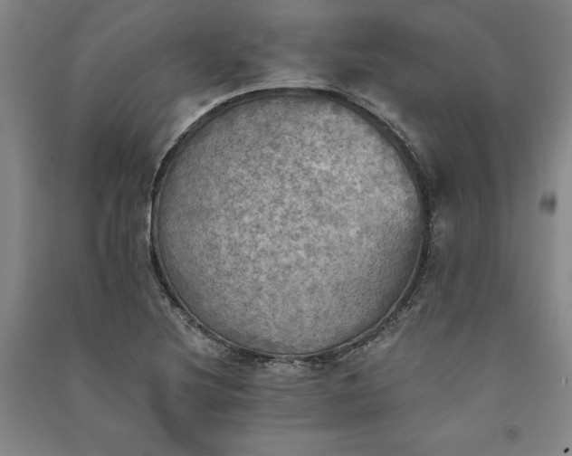 X0000091351220200708171424