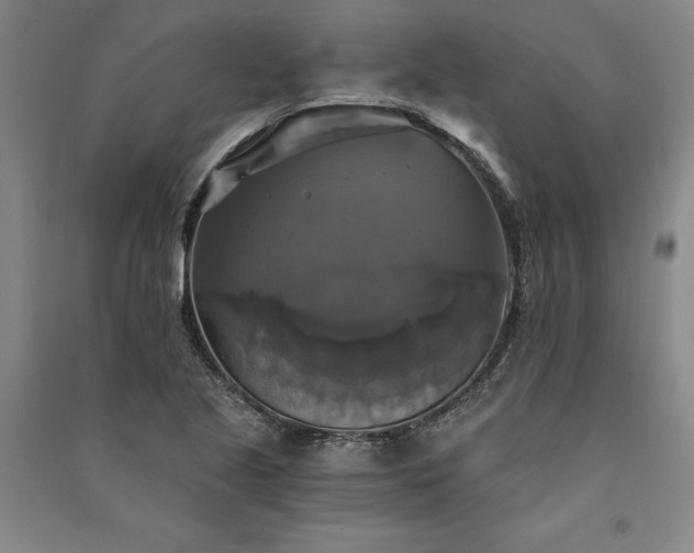 X0000091351221200708171424