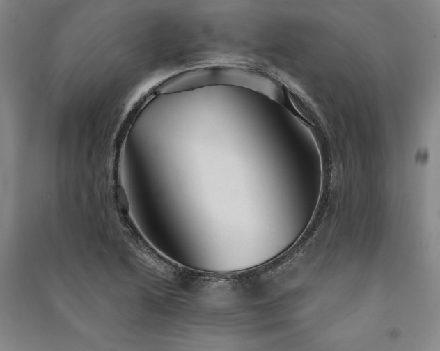 X0000091351222200708171424