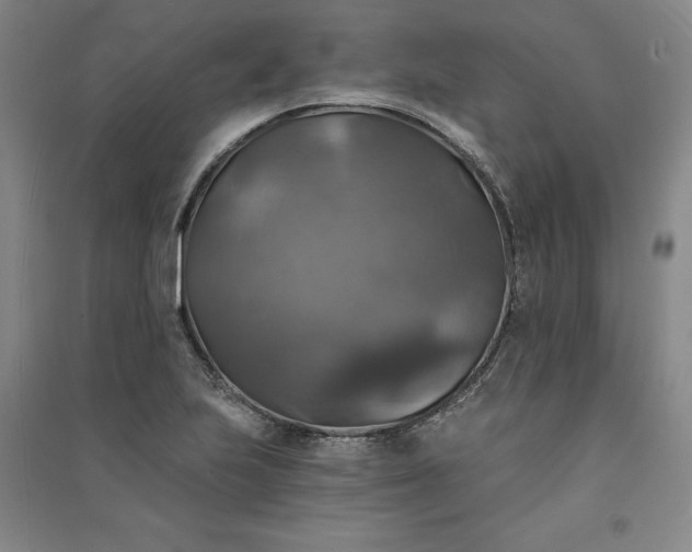 X0000091351223200708171424