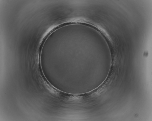 X0000091351224200708171424