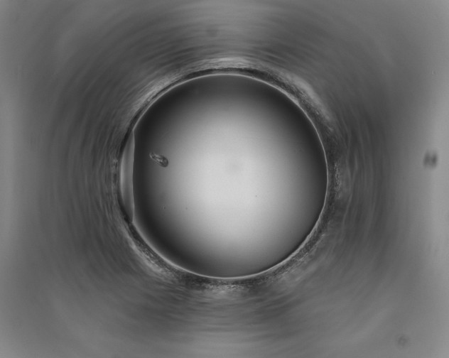 X0000091351225200708171424