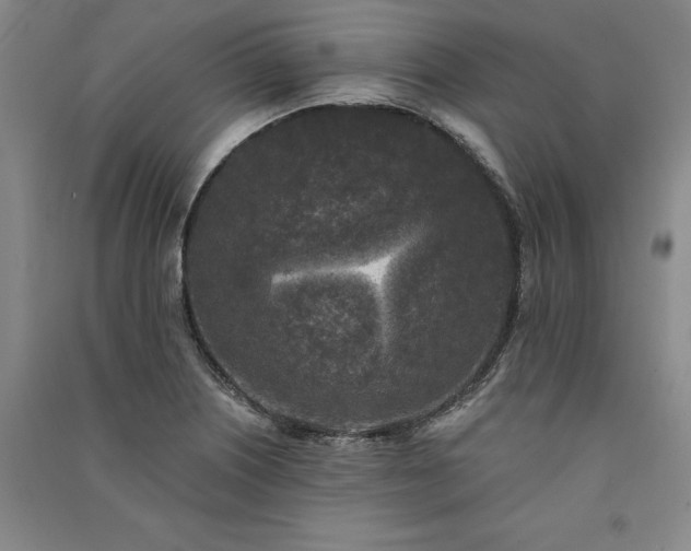 X0000091351226200708171424