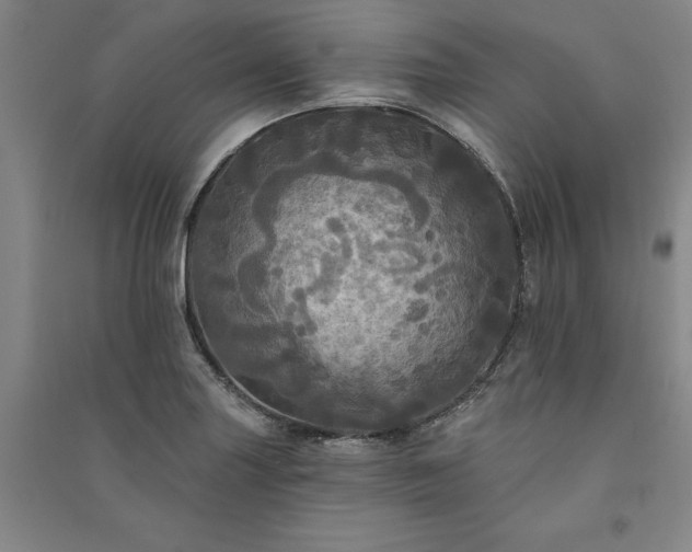 X0000091351227200708171424