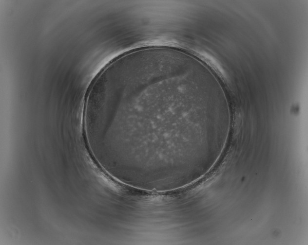 X0000091351228200708171424
