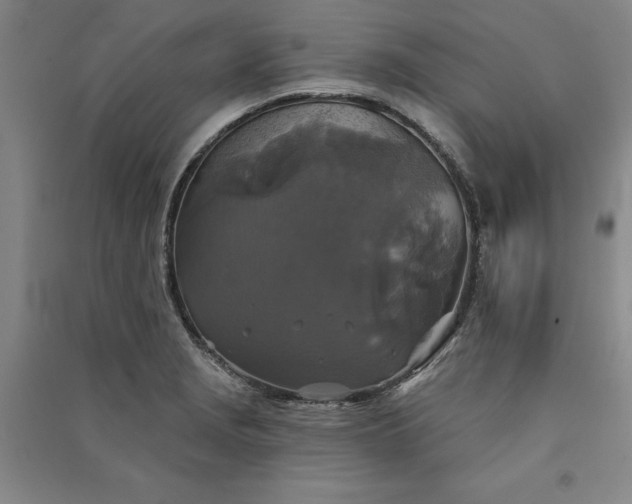 X0000091351229200708171424