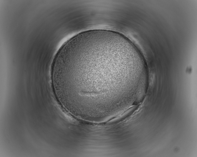 X0000091351230200708171424