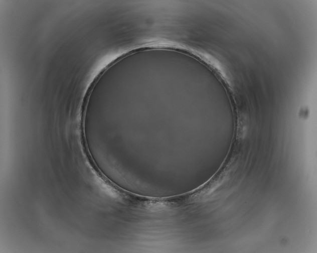 X0000091351231200708171424