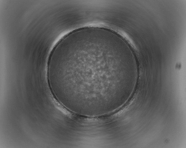 X0000091351232200708171424