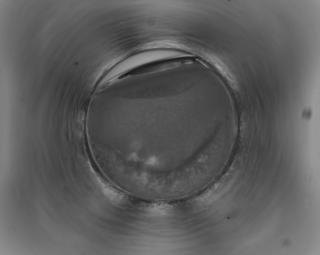 X0000091351233200708171424