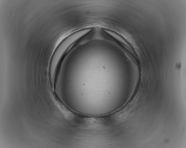 X0000091351234200708171424