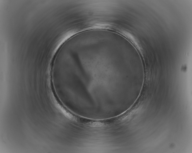 X0000091351235200708171424