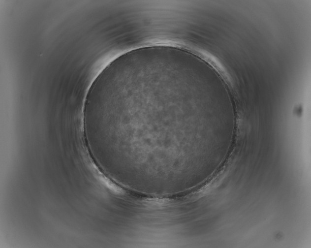 X0000091351236200708171424