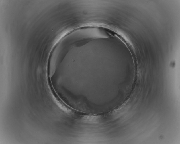 X0000091351237200708171424