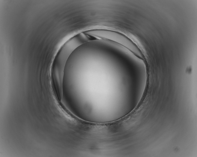 X0000091351238200708171424