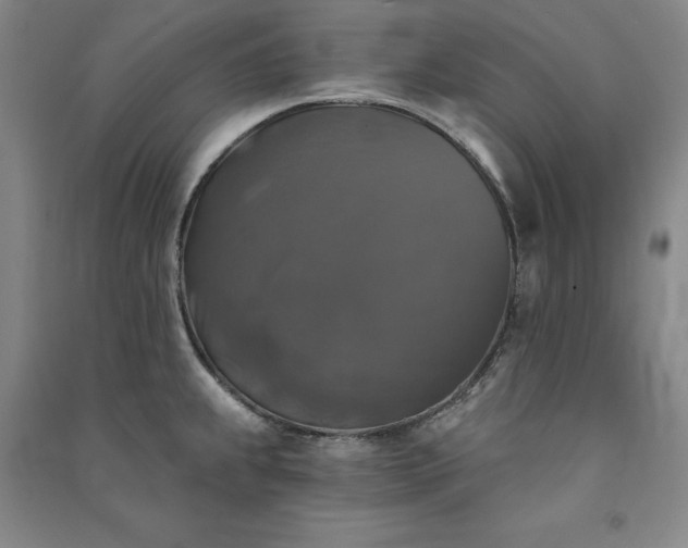 X0000091351239200708171424