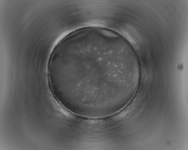 X0000091351240200708171424