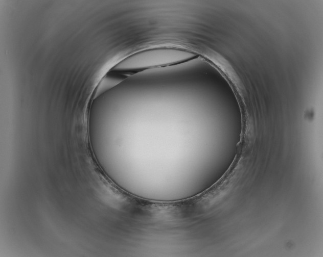X0000091351242200708171424