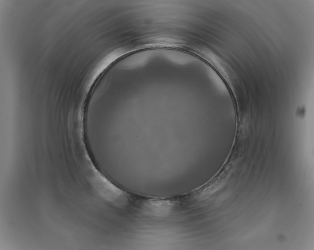 X0000091351243200708171424