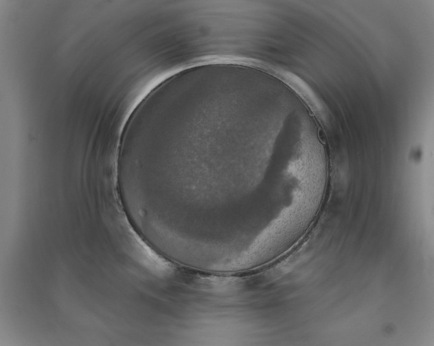 X0000091351244200708171424