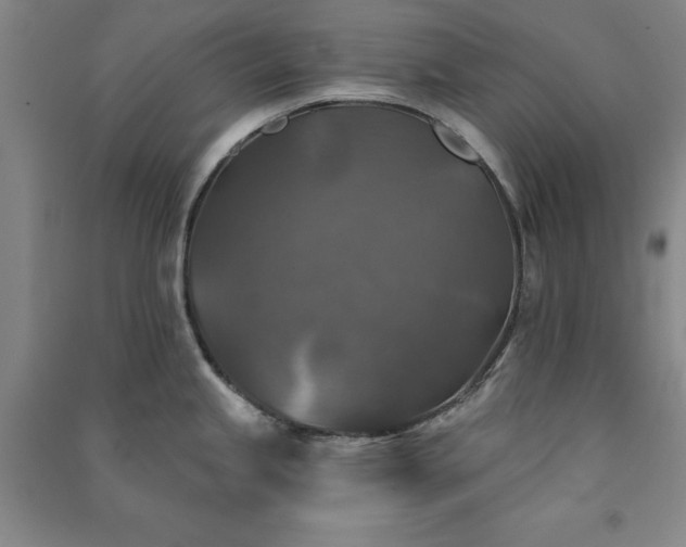 X0000091351245200708171425
