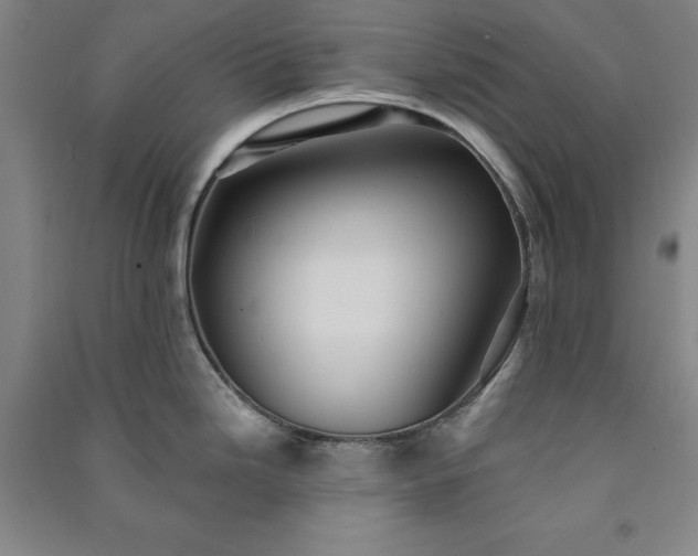 X0000091351246200708171425