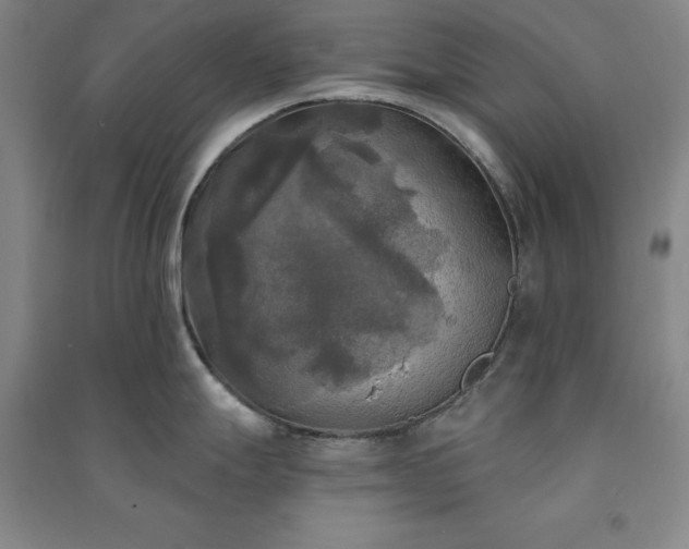 X0000091351247200708171425