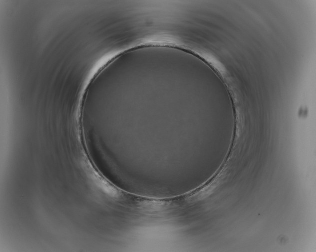 X0000091351248200708171425