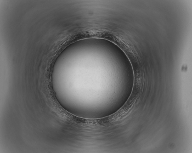 X0000091351249200708171424