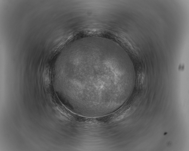X0000091351250200708171424