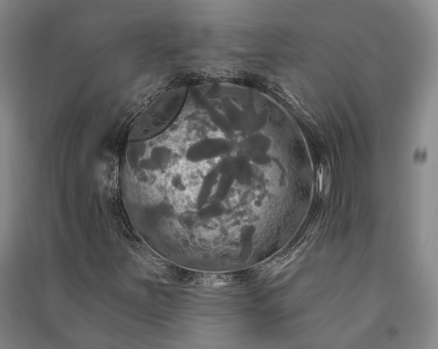 X0000091351251200708171424