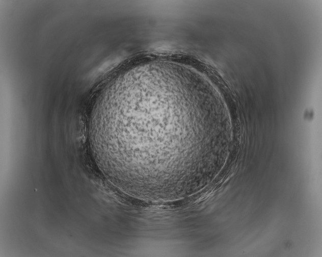X0000091351253200708171424