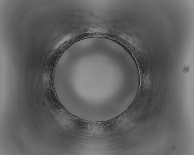 X0000091351254200708171424
