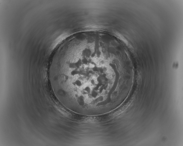 X0000091351259200708171424