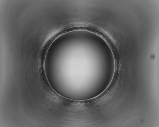 X0000091351261200708171424