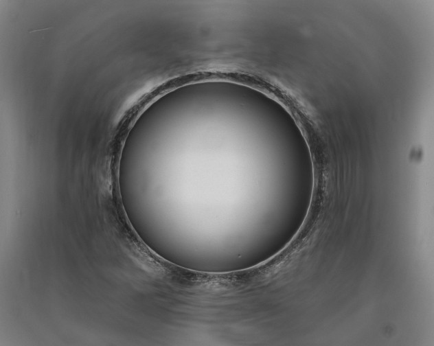 X0000091351262200708171424