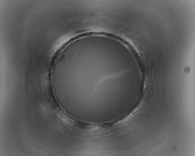 X0000091351263200708171424