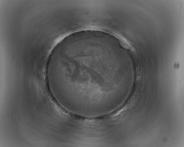 X0000091351264200708171424