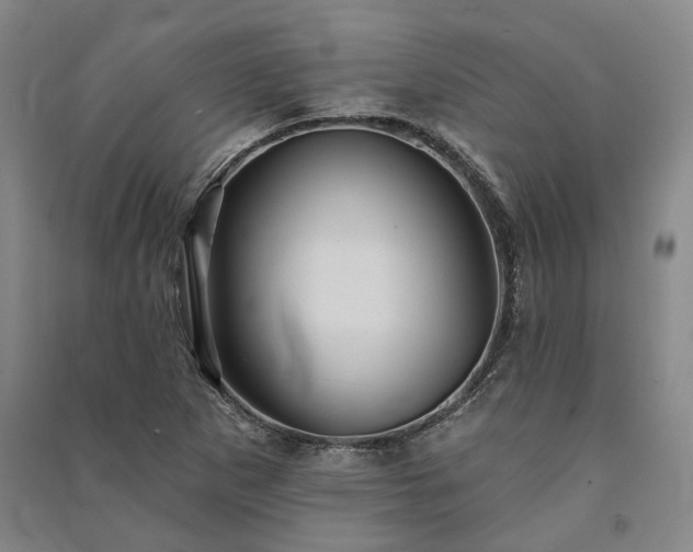 X0000091351265200708171424