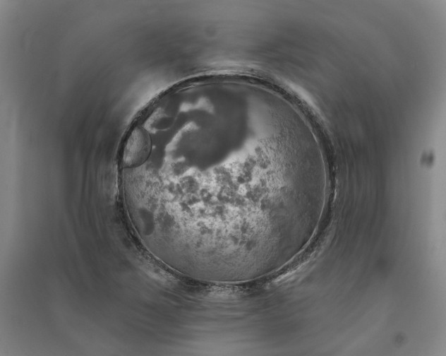 X0000091351267200708171424