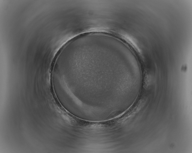 X0000091351268200708171424
