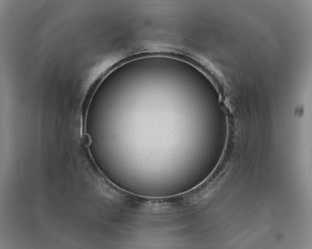 X0000091351269200708171424
