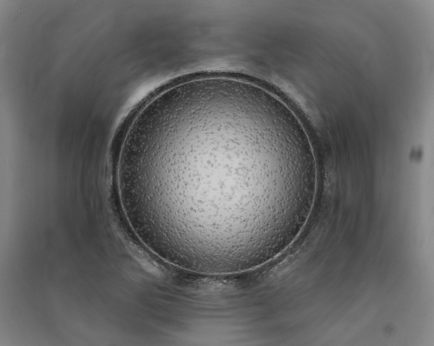 X0000091351270200708171424