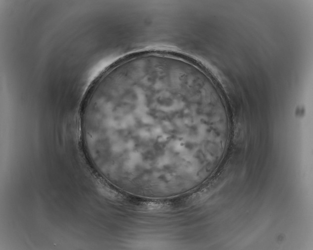 X0000091351271200708171423