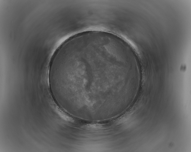 X0000091351272200708171423