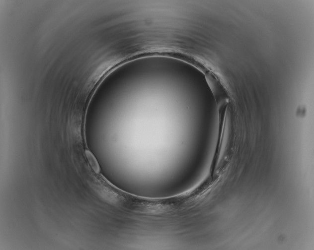 X0000091351273200708171423