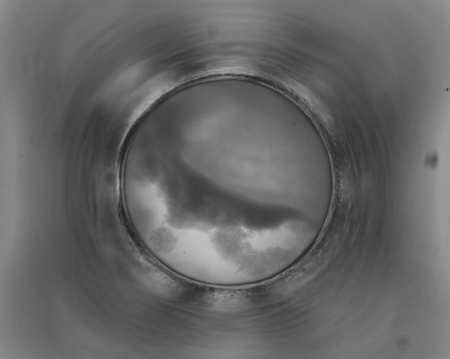 X0000091351274200708171423