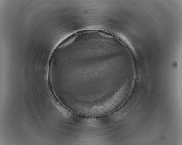 X0000091351276200708171423