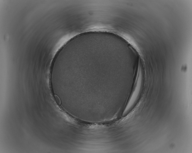 X0000091351277200708171423